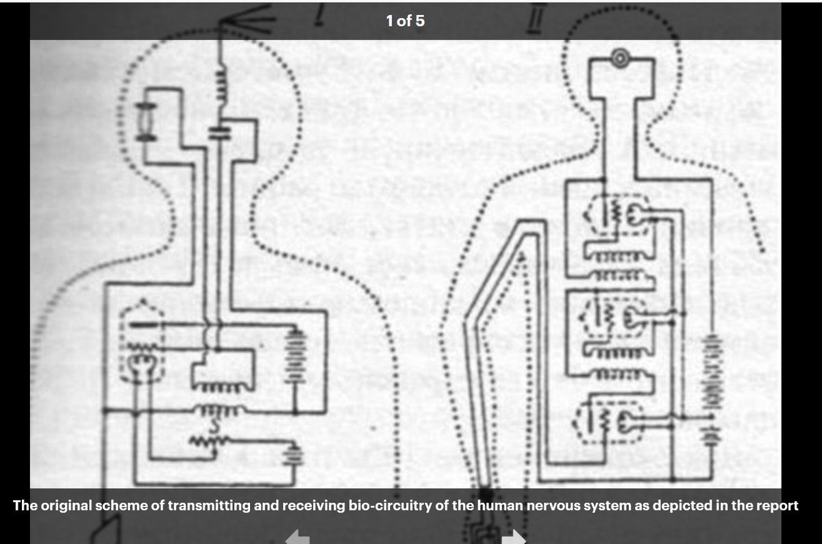 One of the leading lights in this field is Dr. Elizabeth Rauscher-Bise ...