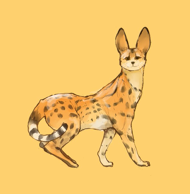 サーバルキャットとサーバル西住殿。サーバルは高い跳躍から獲物(小動物)を仕留める狩で有名ですね。 