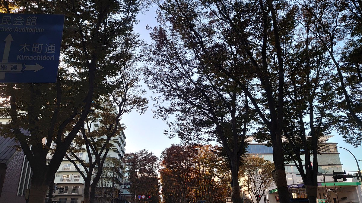 もう秋も終わりますね🍁
活動しようか、悩む・・