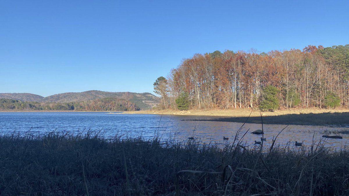 RickyChad22's tweet photo. 🦆 https://t.co/3TM2AA3SFk