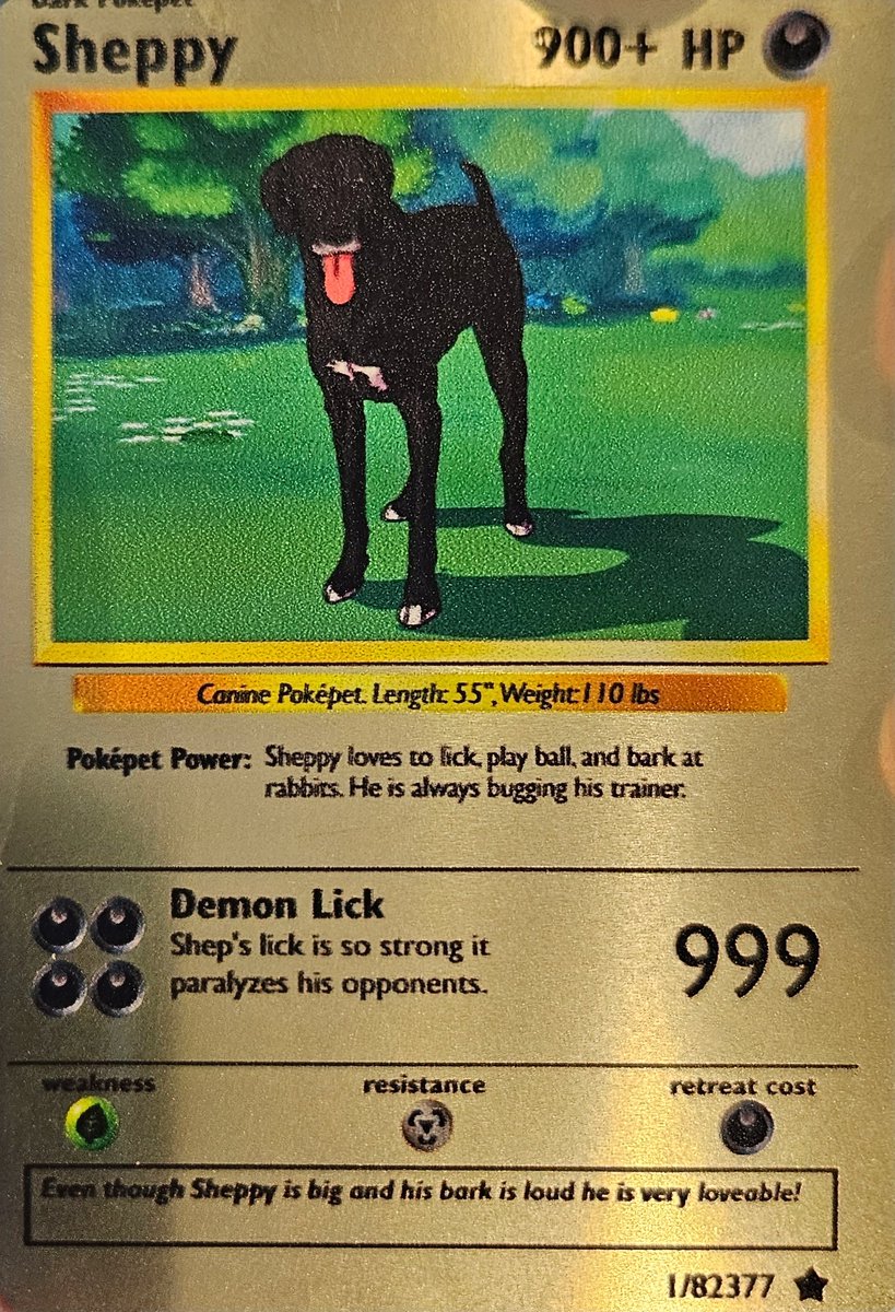 My wife and son got me a custom Pokmon card of my dog, Shepard. Priceless! My wife and son got me a custom Pokmon card of my dog, Shepard. Priceless!