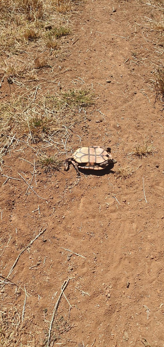 Insert joke about someone's Mum/sister/friend/blonde here.