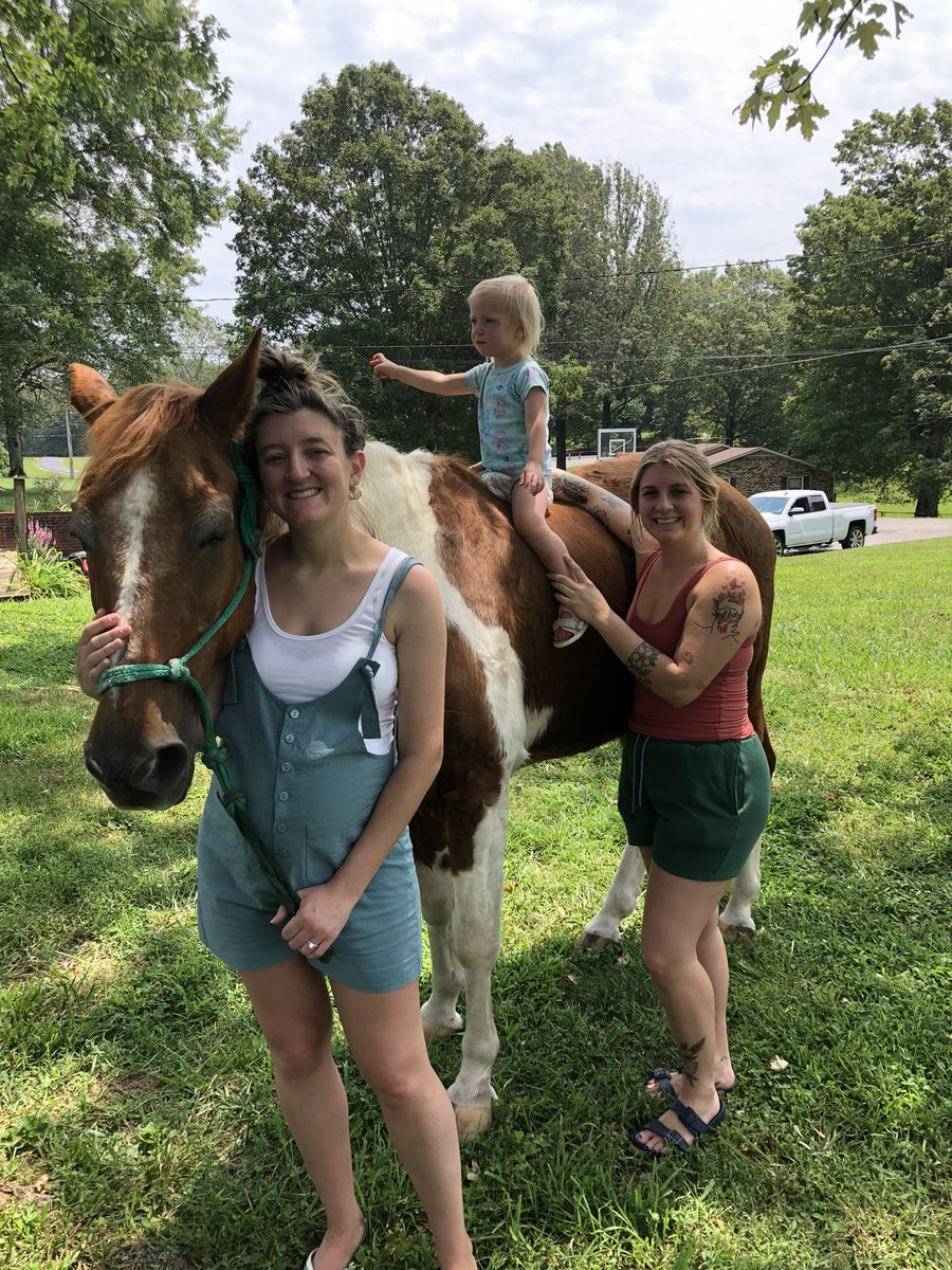 We had to put our 30 year old mare down yesterday and I’m big sad. RIP sweet girl. 🫶🏼