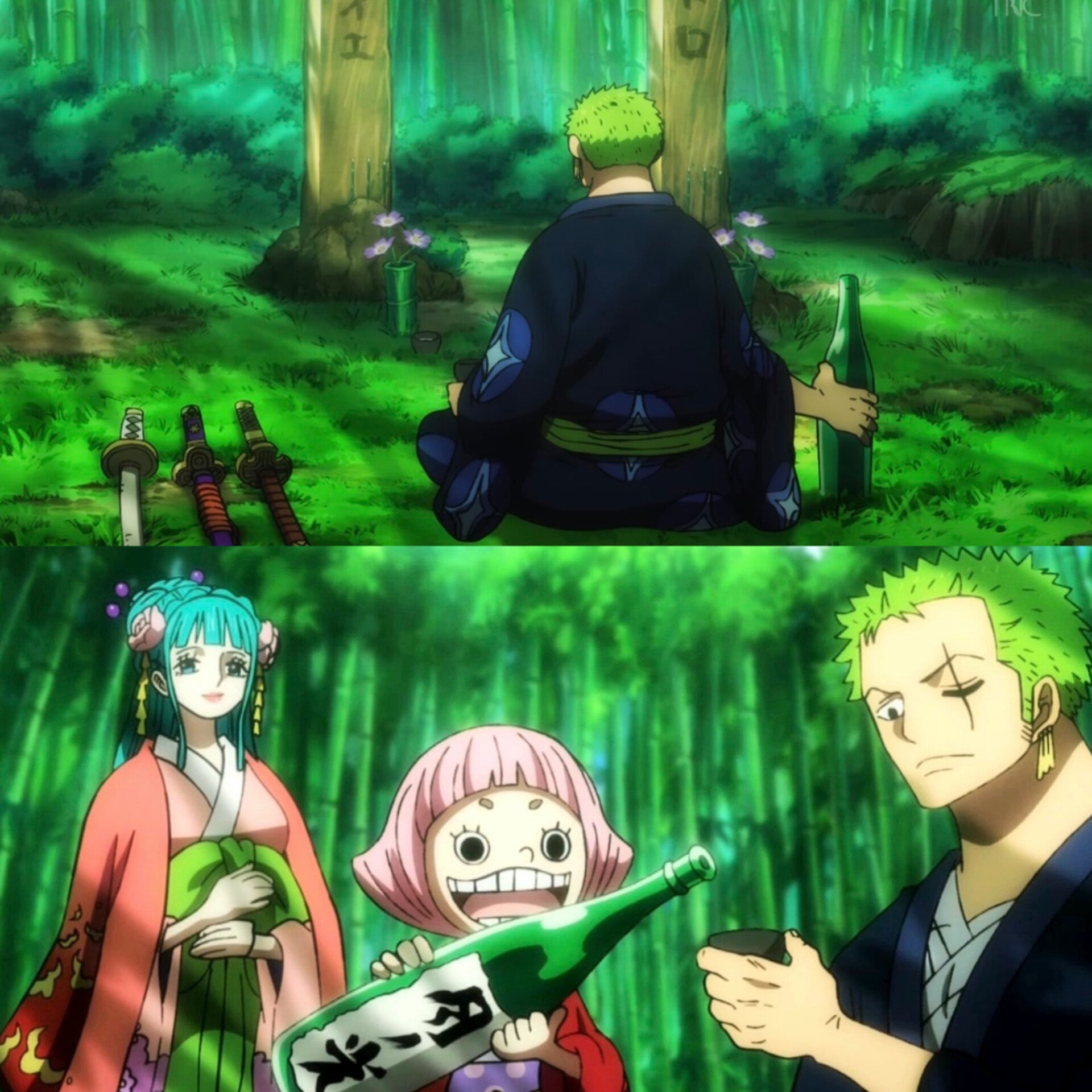 11 VEZES QUE ZORO QUASE MORREU EM ONE PIECE