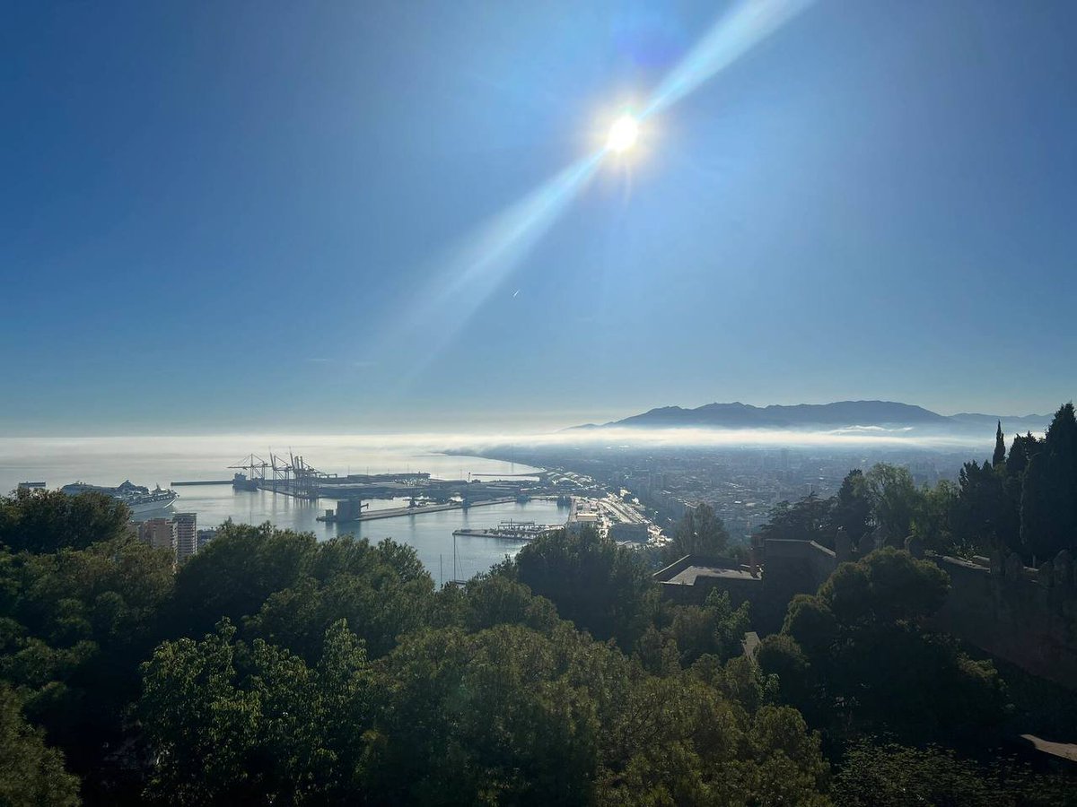 ramirezruby32's tweet image. Be grateful for every challenge in life, because they make us stronger and allow us to move forward unyieldingly in the face of difficulties.