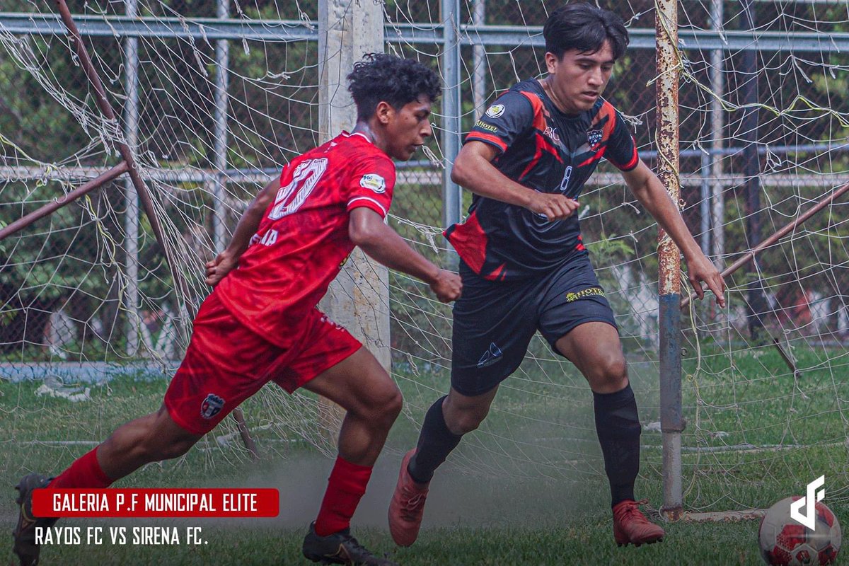 Rayosmxfem's tweet photo. 📸| @elitemunicipal 

Tras jugarse 8 jornadas, nuestros compañeros de #RayosMx se posicionan en el 5º lugar de la tabla general con 13 pts. 

¡Bien ahí, Rayos! ⚡️ 

#SOMOSLINCESRAYOS | #SOMOSDEELITE https://t.co/khWbFvUhF9