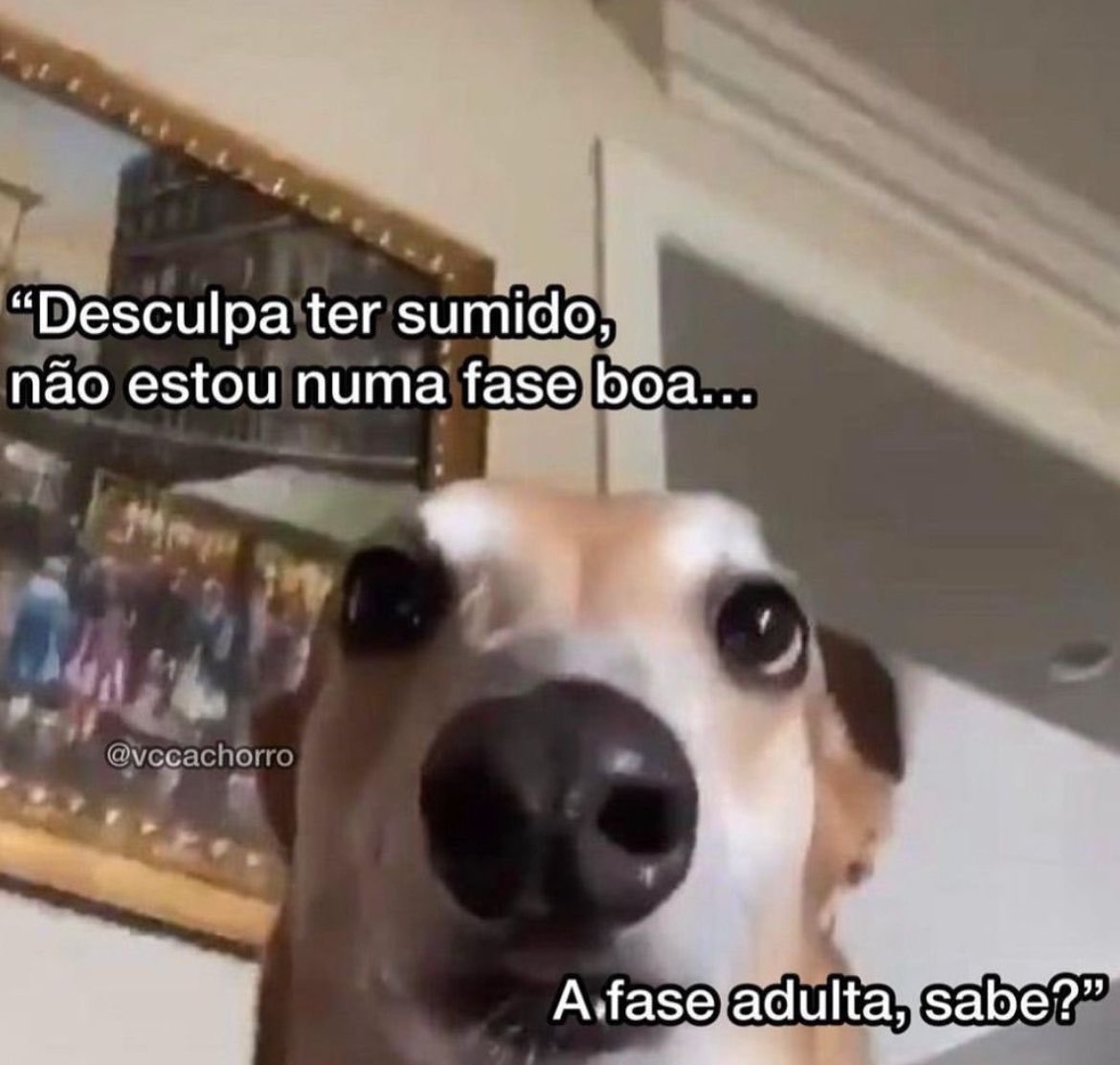 PopTrendsx's tweet photo. mood https://t.co/ZfK0JkVQBm