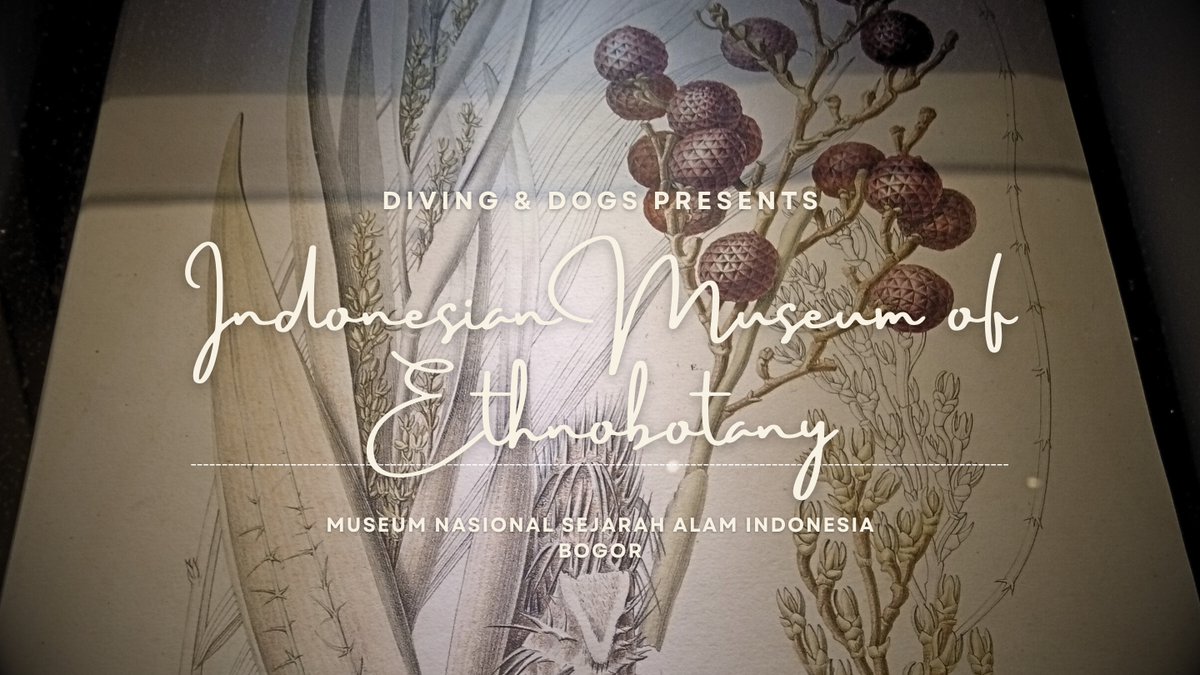 Bridging Nature and Culture: Exploring the National Museum of Indonesian... youtu.be/PShcur3hWZE?si…
#NatureAndCulture #MuseumExploration #IndonesianHeritage #EthnobotanyMuseum #BogorAttractions #PlantEthnography #NaturalHistoryMuseum #IndonesianTradition #BogorCityDiscovery