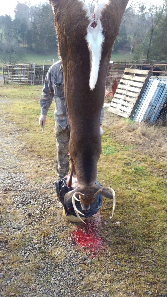 CCFwiggins's tweet photo. I miss my good friend Randy Kirkland every day. He was special to my entire family. We farmed, deer hunted, fished, worked and laughed together for years. Opening day of rifle season was always highly anticipated. This is him dressing the last deer he shot. #memories https://t.co/VStlqbsRRN