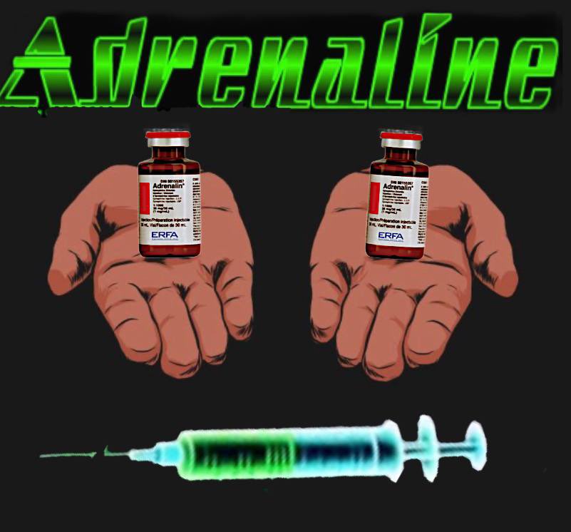 Adrenaline | ADA tweet media