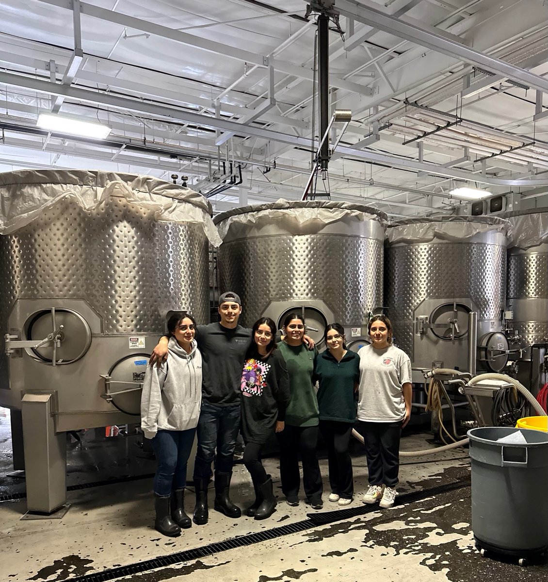All hands on deck for harvest! 

#familia #misuenowinery #misueno #latinoowned #familyowned #napavalley #napawine #vino  #winemaking #wine   #visitnapavalley #californiawinecountry #napalocal  #familyownedandoperated #familyownedwinery #familyownedvineyard #smallbusiness