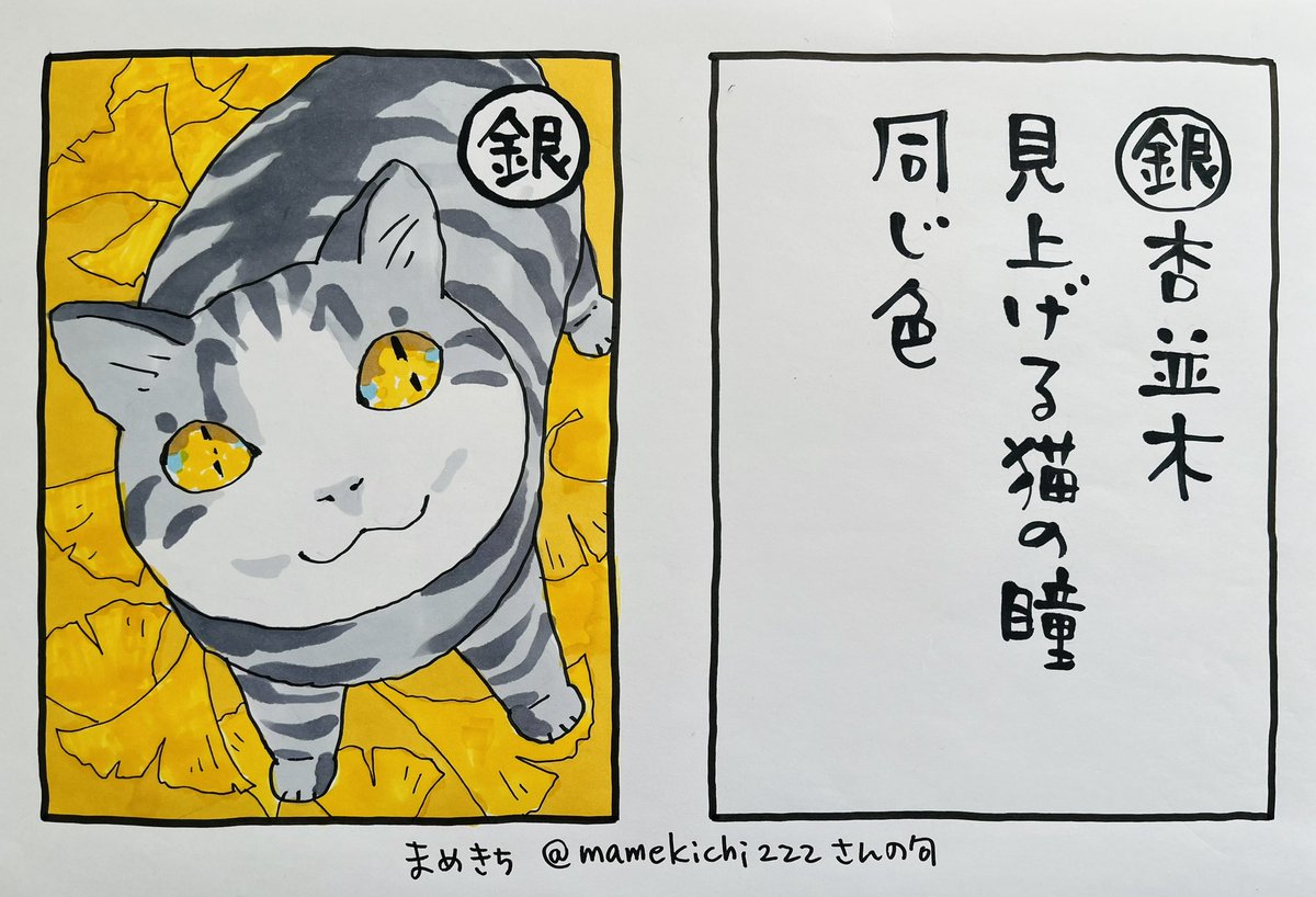 起きた人、おはよう 寝る人、おやすみ〜  #夜廻り猫カルタ これは まめきちさん@mamekichi222 の句 猫のすきとおった眼にイチョウの黄色が映る、綺麗ですねえ 秋ですねえ ありがとうございます!  晴れた秋の日曜日です 今日 ご無事で
