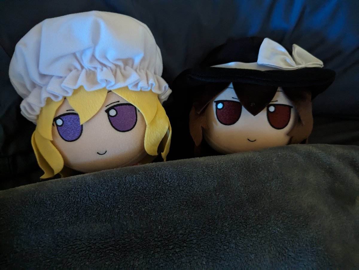Tensheeeesh's tweet photo. Sleepy time #Fumofumo #touhou #ふもふも https://t.co/QYN8XWa8Uq
