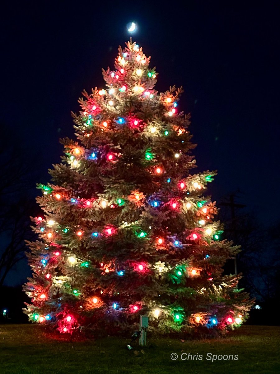 When the moon is your tree topper! 🎄