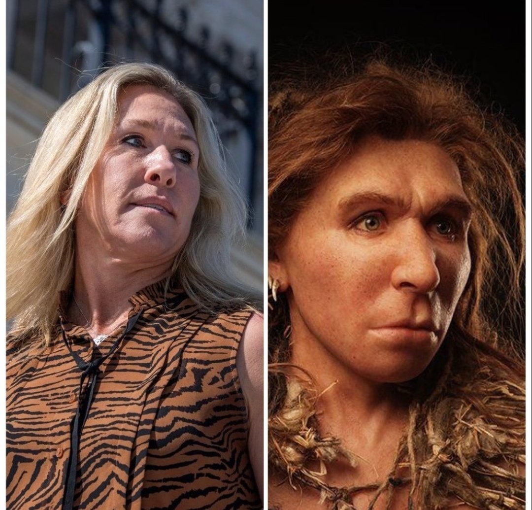 OvereducatedAFVermin 🐀🍩🥀🇺🇦🥁🪷 tweet media