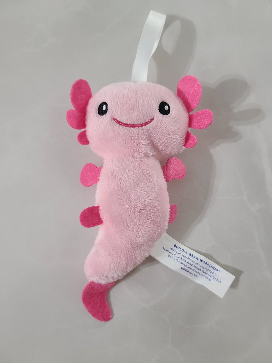 Anthony Roberts tweet media