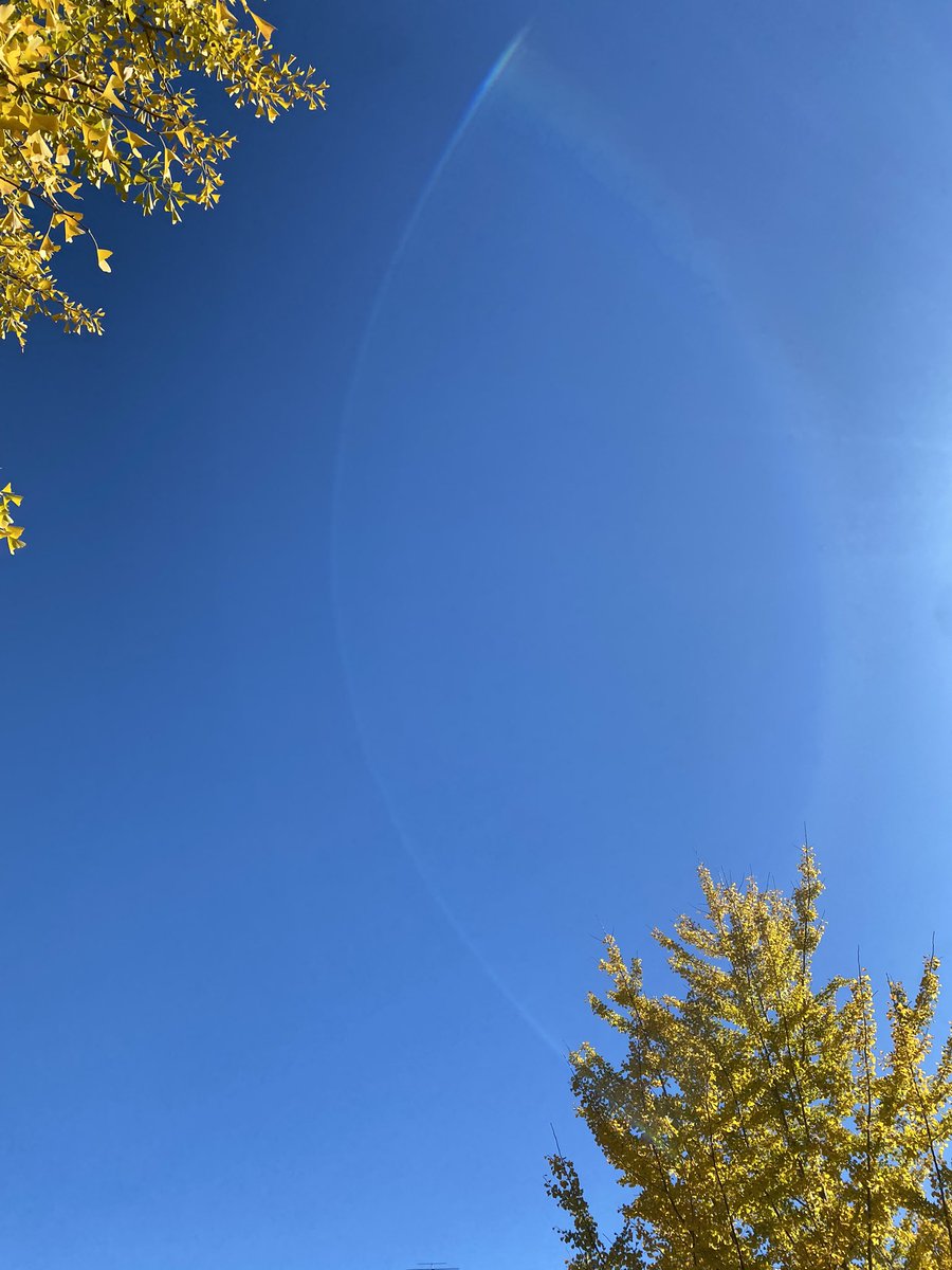 Watashi_Smile's tweet image. 今日は電車に揺られて知らない街へ
どきどき、わくわく、そわそわ🐕🍁
今年の秋を吸収してこようと思います
#HSP #HSS型HSP