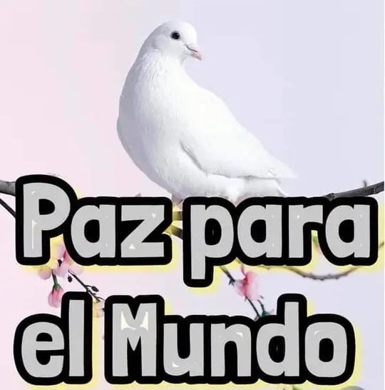Paz para el mundo

#JuntosXCuba
#JuntosXElMundo