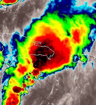 Gloria Ceballos tweet media
