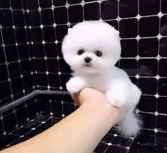 hieratic ​shamanism
私はあ なた⳿のᱸ世 界ﾞです᠎あﾞなᱸた は​私⬝の​かわいいです