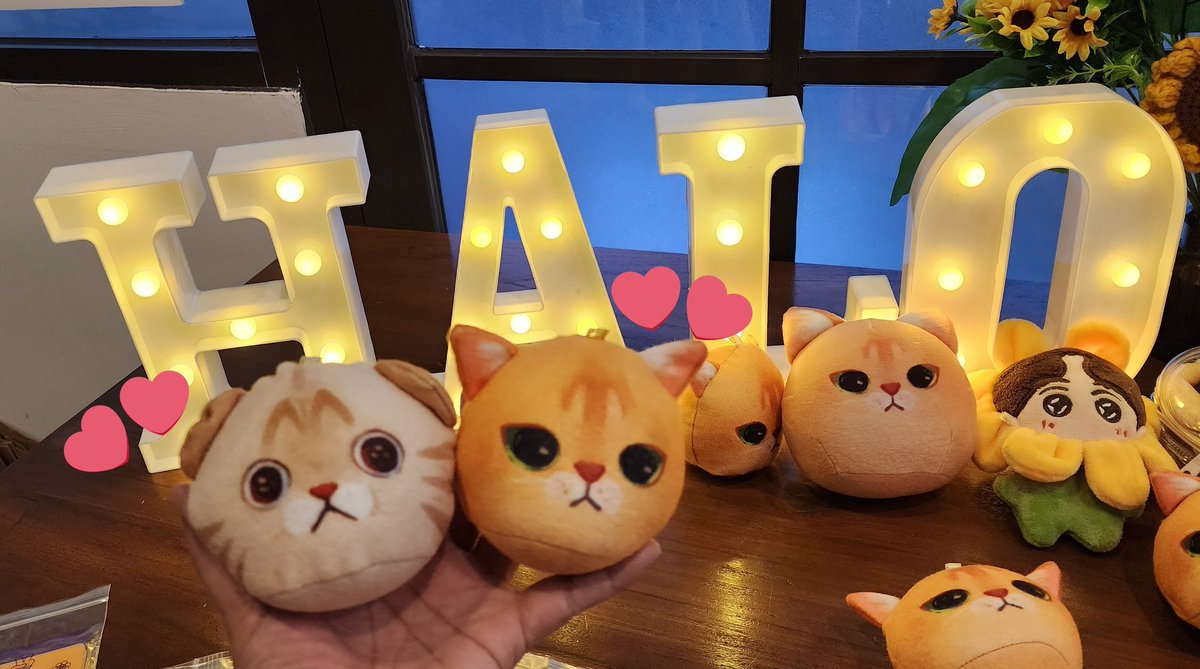 EnjoywithLifes's tweet photo. แวะมารับหลานอุ่นย่าทั้งสองกลับบ้านด้วยกัน...👉🐱🐱👈

@gulfkanawut
#Gulfkanawut  | #กลัฟคณาวุฒิ
#อาซาร์แมวเซา | #ก็องเต้แมวซน
#Gulf_1stFanMeetinginJKT
#EnjoywithLifes https://t.co/bsEPxYuuoO