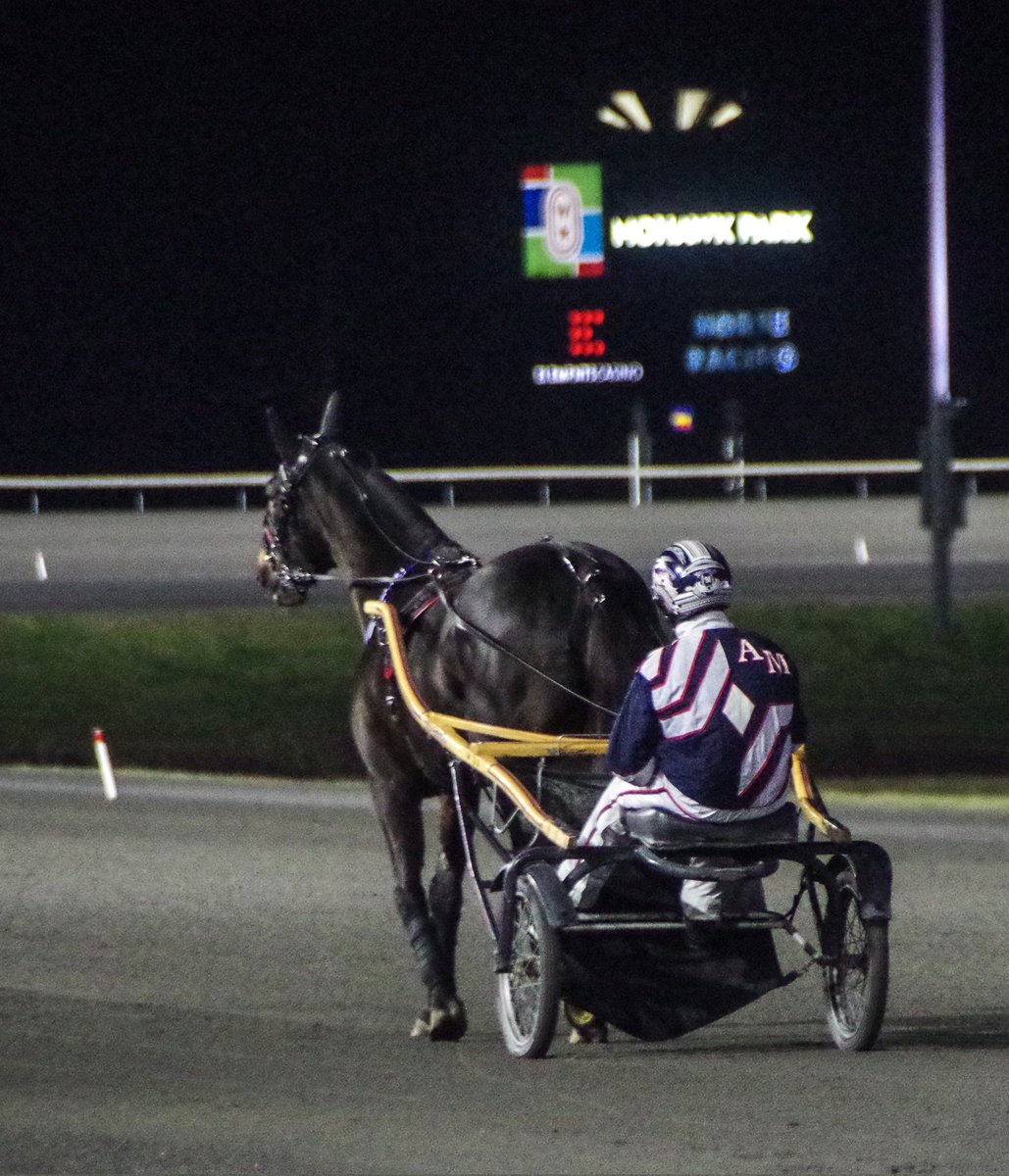 normf66's tweet image. Wishing a happy retirement to an incredible horse over the years @WoodbineSB Sintra @TheStableCanada @horseracingamac @ONTRacing #harnessracing #
