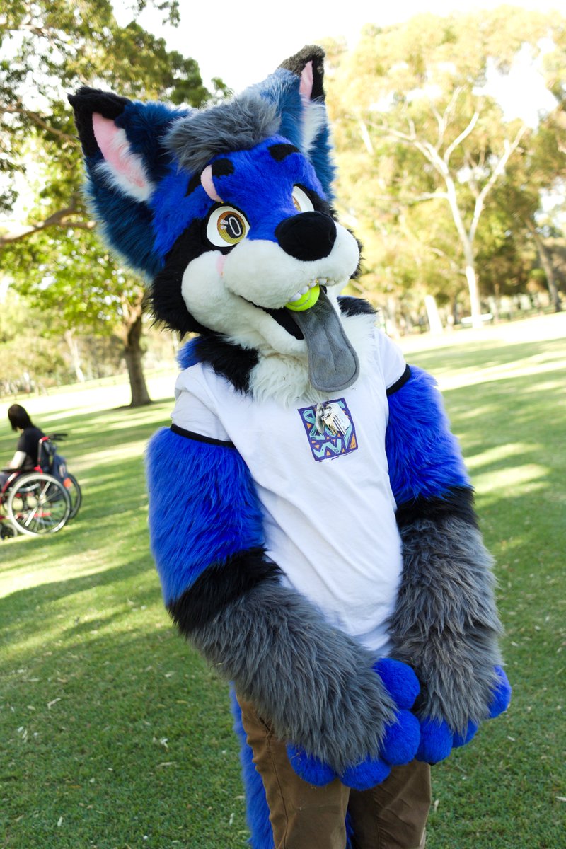 sa_furs's tweet image. We had another great Fursuit Friendly BBQ this weekend! Thank you to all the folks who attended and made the afternoon so fun💕🐾
📷@notagames, @the_choc_lab &amp;amp; @zanderthedeer 
#adelaidefurs #safurs