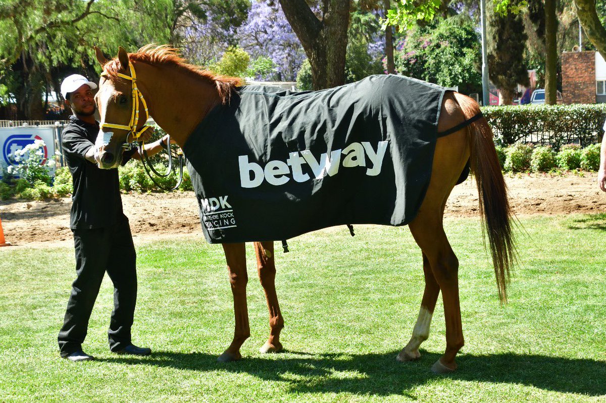 Mdk Blog: <a href="/Betway_za/">Betway ZA</a> are changing lives with their sponsorships and support of <a href="/4RacingZA/">4Racing</a>'s grooms. <a href="/BlumbergJb/">JB</a>  mikedekockracing.com/2023/11/19/bet…