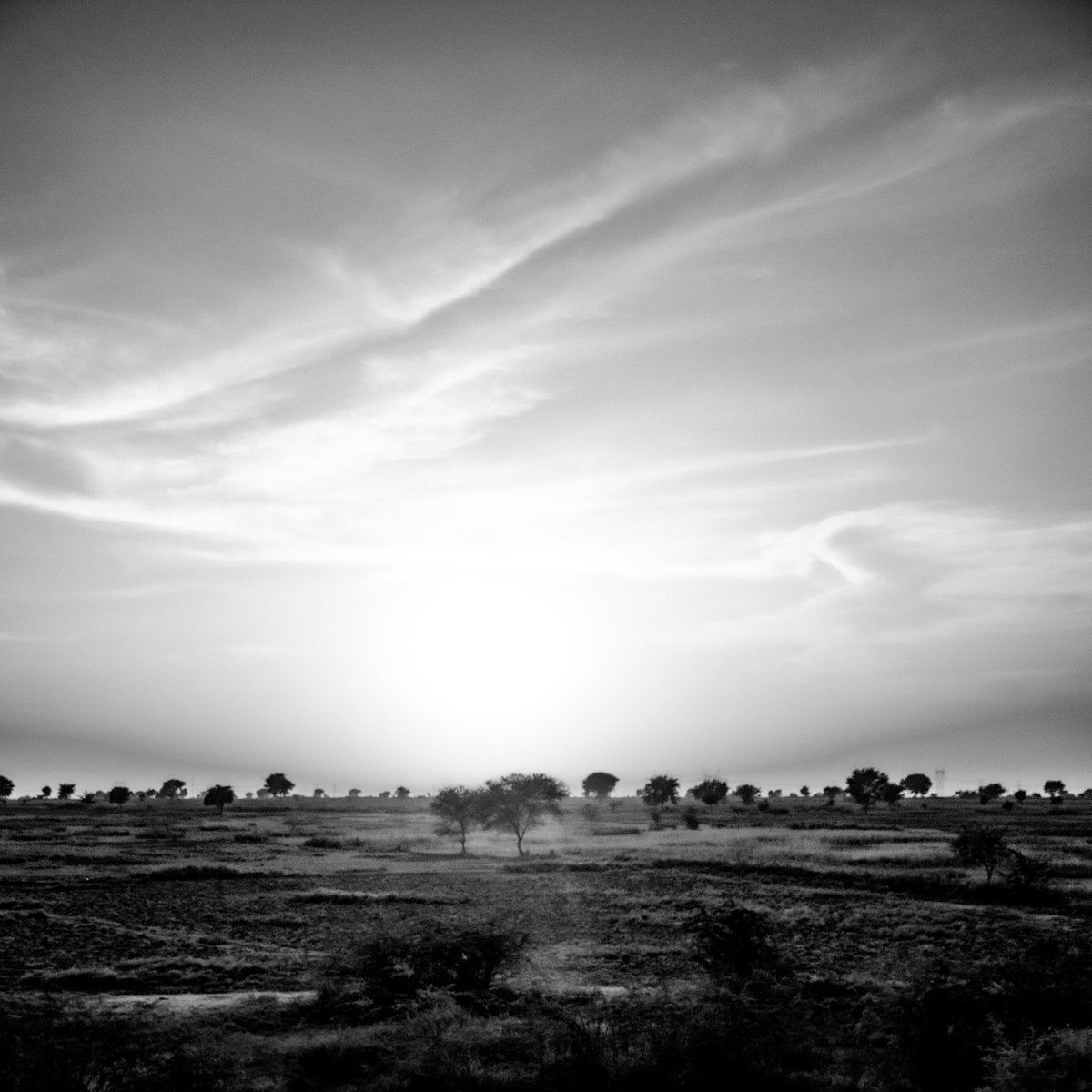 dotjpegstudio's tweet photo. @GreatDane_photo We share the same passion for monochrome photographs.. here’s a small set of photographs in bnw that I shot :-) https://t.co/nOtk2c1HWr
