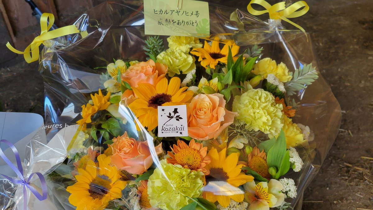 ジョッキーの嫁じょ tweet media