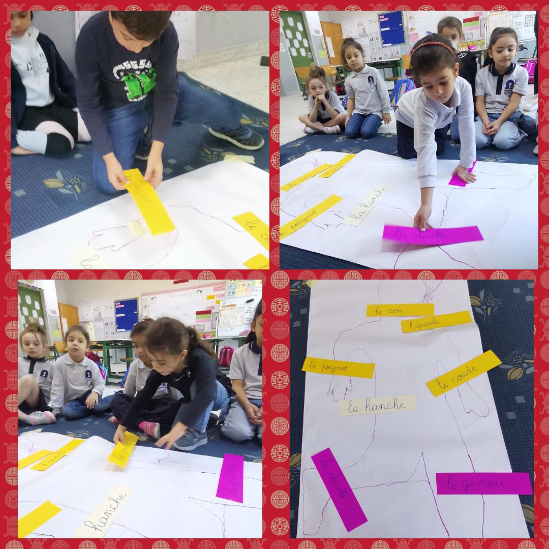 mounaassi2016's tweet photo. Après avoir dessiné la silhouette de notre amie, les apprenants ont collé les étiquettes-mots pour identifier les articulations qui permettent à notre corps d'exécuter un mouvement
#questionnerlemonde 
@Hhhsinfo @LinaMajzoub1 @HananKozbar
@TawilNoor https://t.co/VkUhnPXDIh
