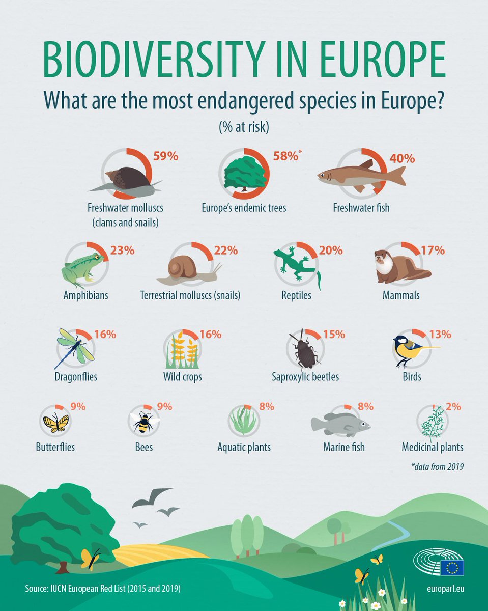 Check this Infographic from <a href="/IUCN/">IUCN</a> on the most endangered species in Europe

36 species have become extinct in Europe as of 2015, including many freshwater fish, several other Coregonus species, the freshwater mollusc Graecoanatolica macedonica, a purple flower.