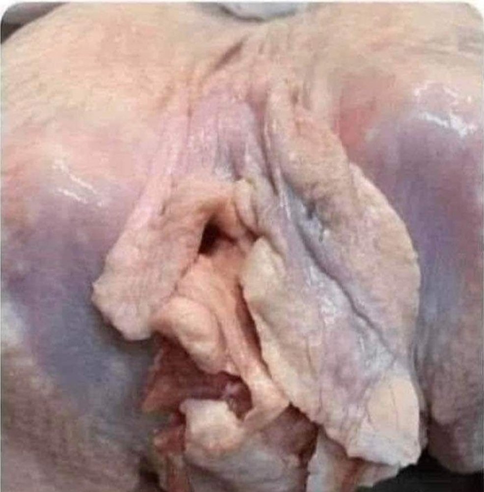 Don't post pictures of nude turkeys comparing them to Katie Price on Facebook, they don't like it.