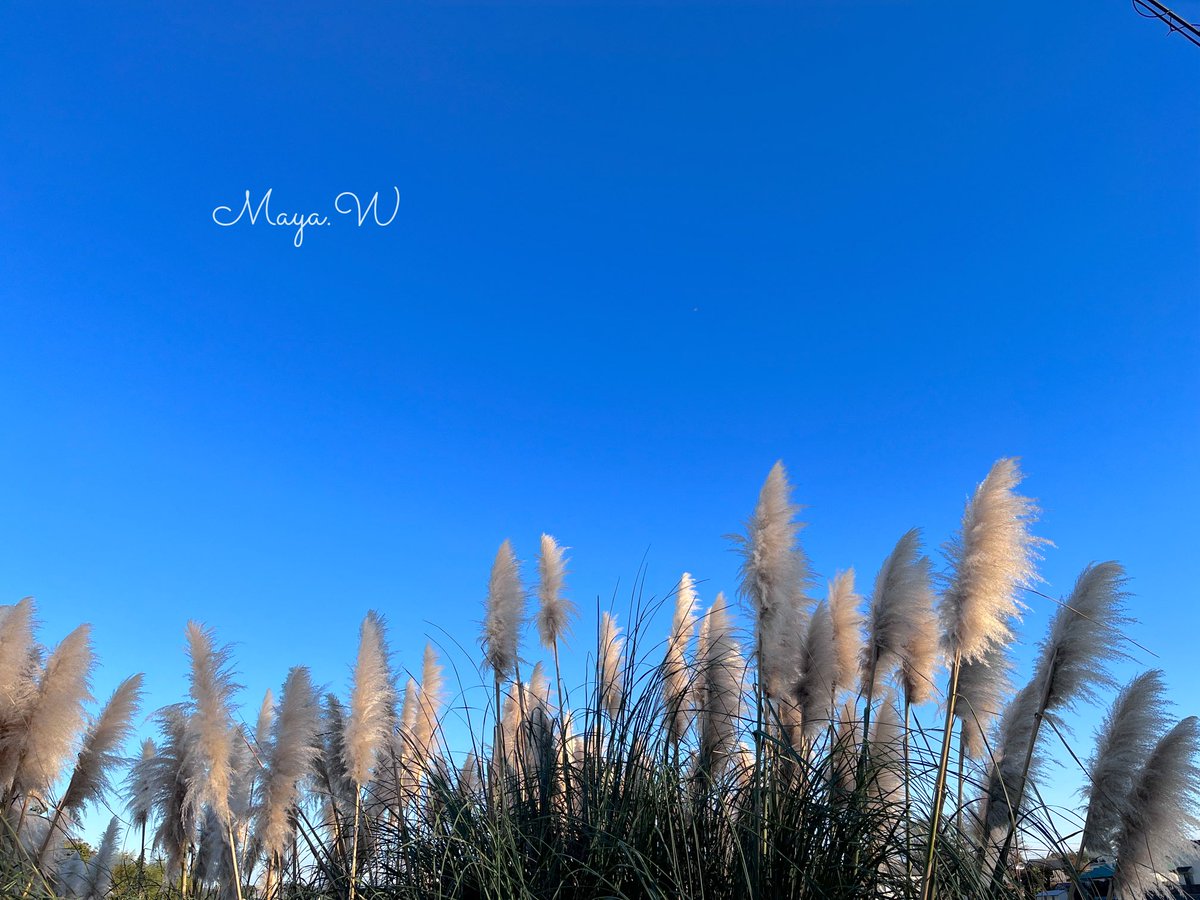 MayaW_S2_'s tweet photo. 決意したことを済ませ気分爽快✨

#notears 
#justmoveforward https://t.co/gQEUqZcvpb