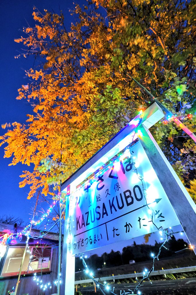 inemuri604's tweet photo. 銀杏のライトアップを狙って上総久保駅へ
ただ強風で葉は揺れるし寒いし キビシ~😣
#小湊鐵道
#小湊鉄道
#上総久保駅
#銀杏
#OMSYSTEM
#OM1
#HF007014 https://t.co/PiApexCFvN