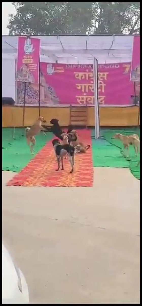 JitendraNTyagi's tweet photo. कॉंग्रेस प्रवक्ता @SupriyaShrinate के सभा में अपार भीड़ #Bhago https://t.co/FfaSke1Zzv