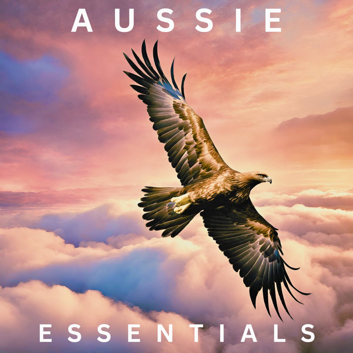 Kaitlyn Riddle, M.Ed. tweet media