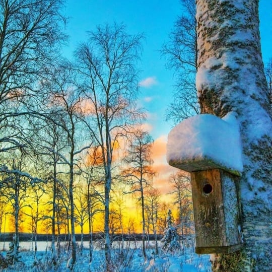 When you come to this world, you must make an effort to see more scenery.