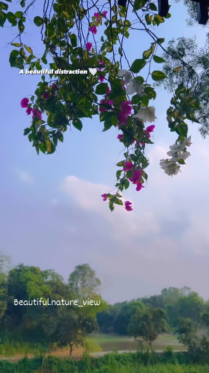 If you have sunshine in your heart, there must be poetry and distance