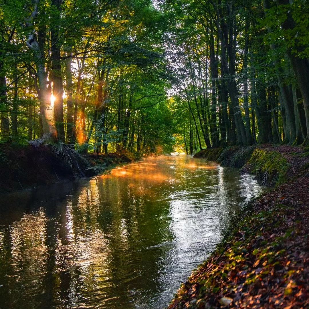 Ten miles after the spring breeze, all the wheat is green