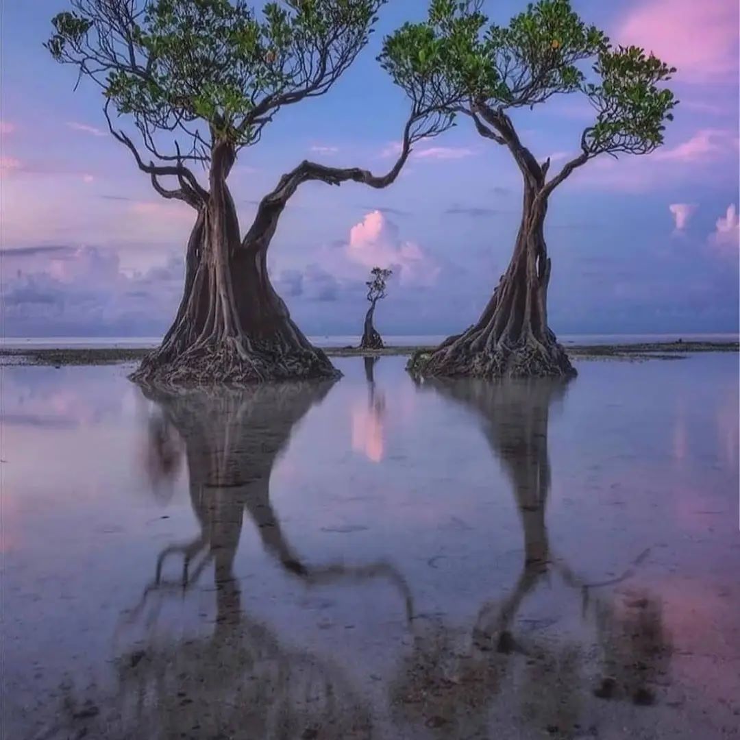 See different scenery and have a good mood