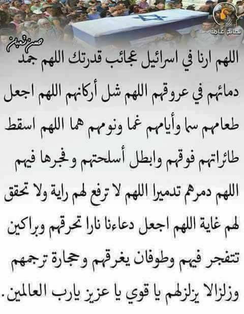 جابر سندباد tweet media