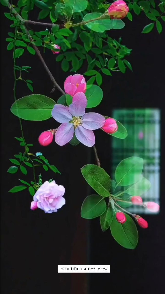 In this life, every journey is a scenery, and every thought can be calm.