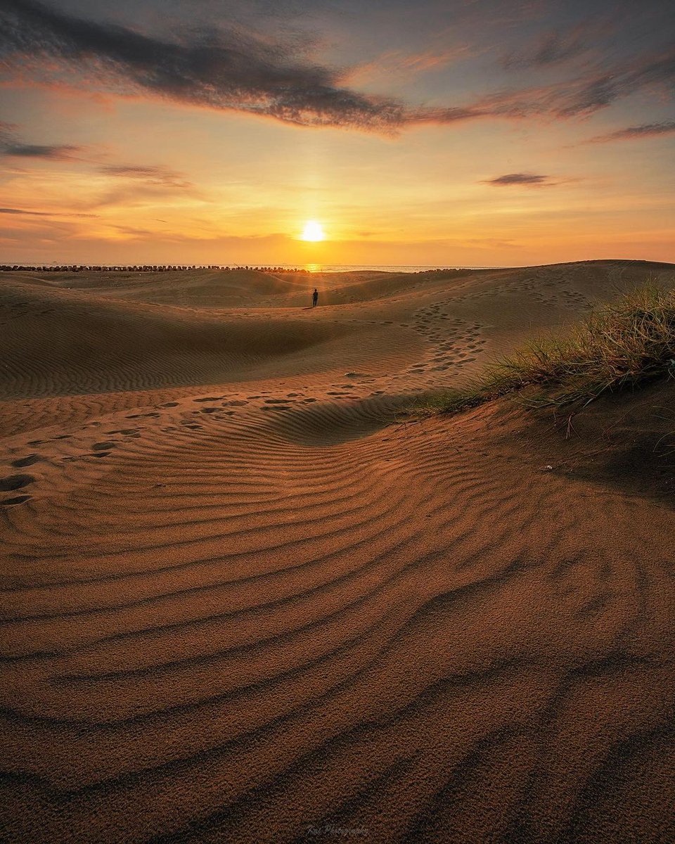 The cold pool reflects the white moon, and the autumn rain covers the moss