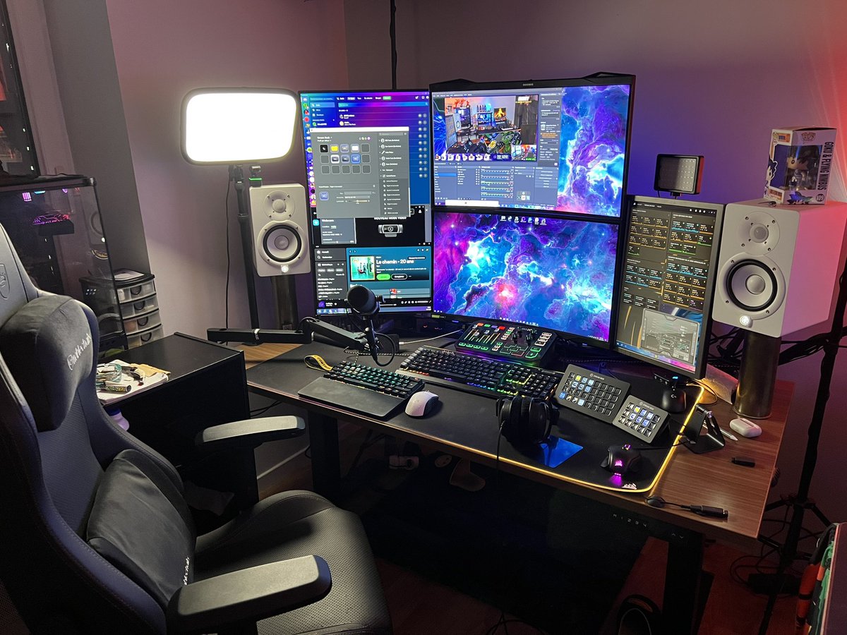 • Pec’s • tweet media