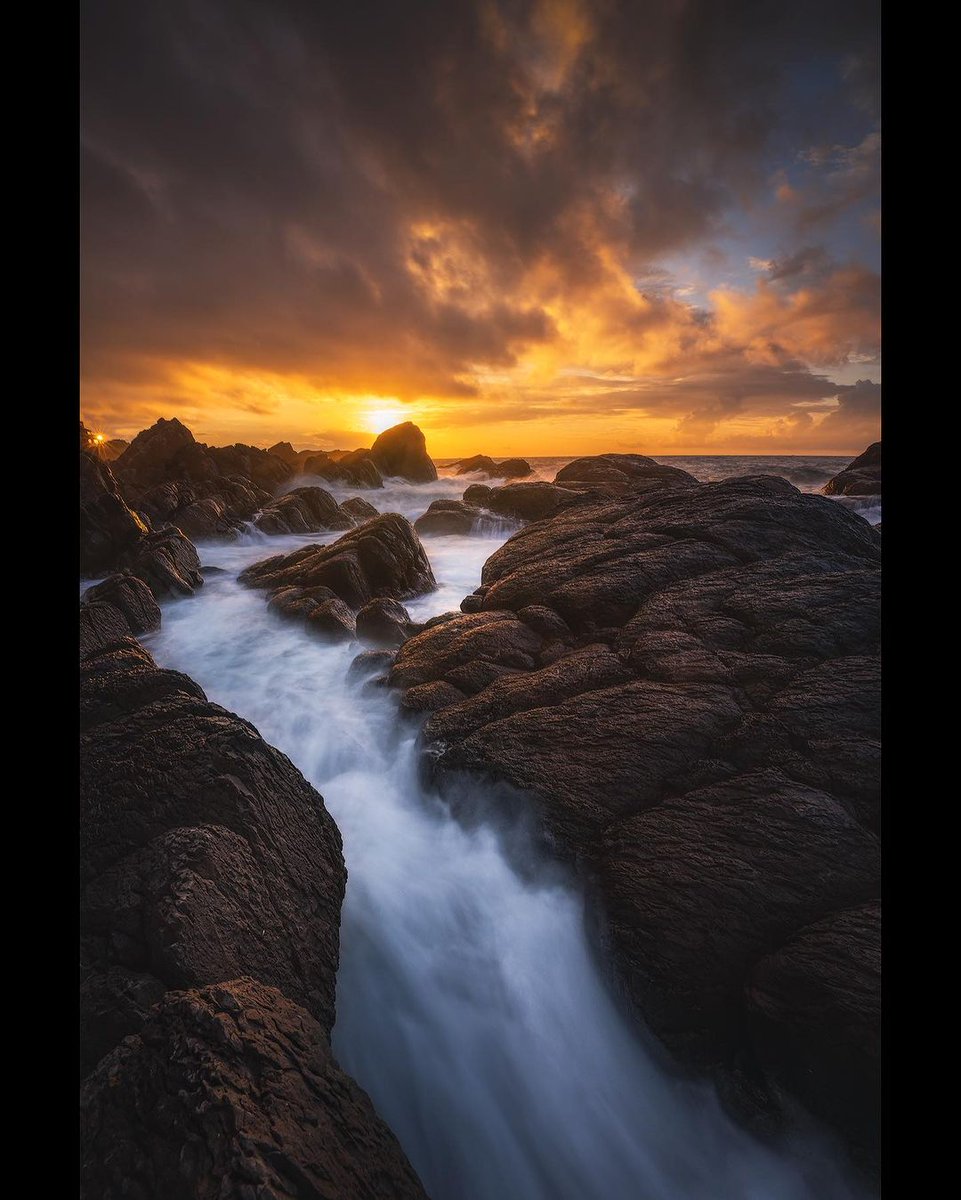 Your smile is so beautiful, like a spring flower...