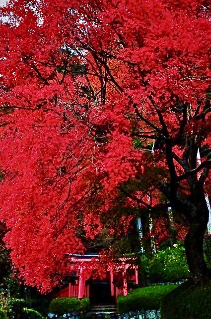 The weekend is here as scheduled, let the breeze send my greetings and prayers!