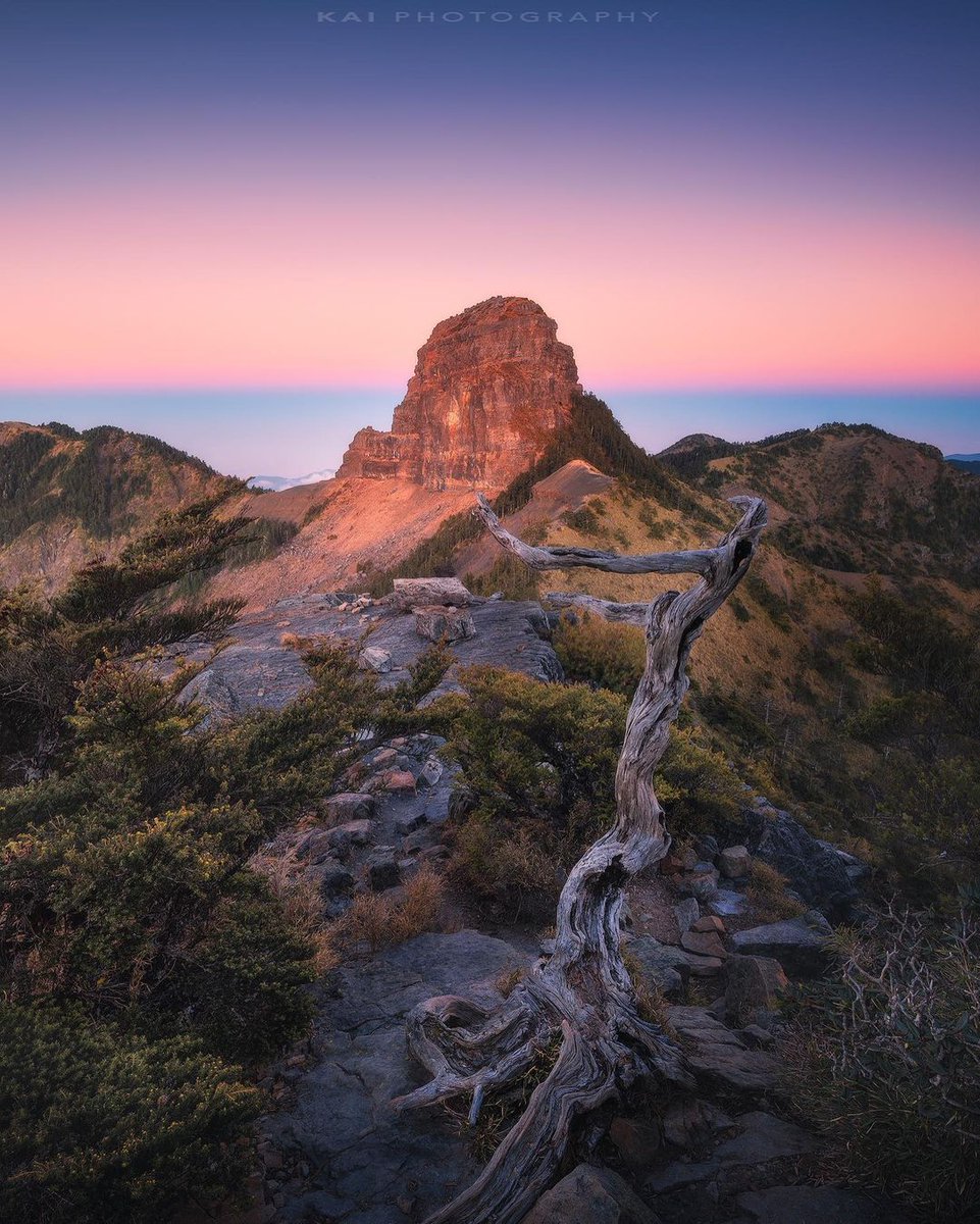 Leave your eyes to the scenery and your weight to the delicious food.