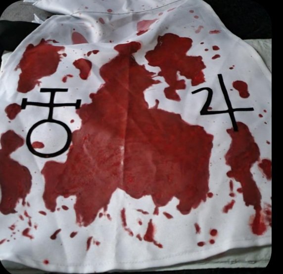 Cody or Plasmid tweet media