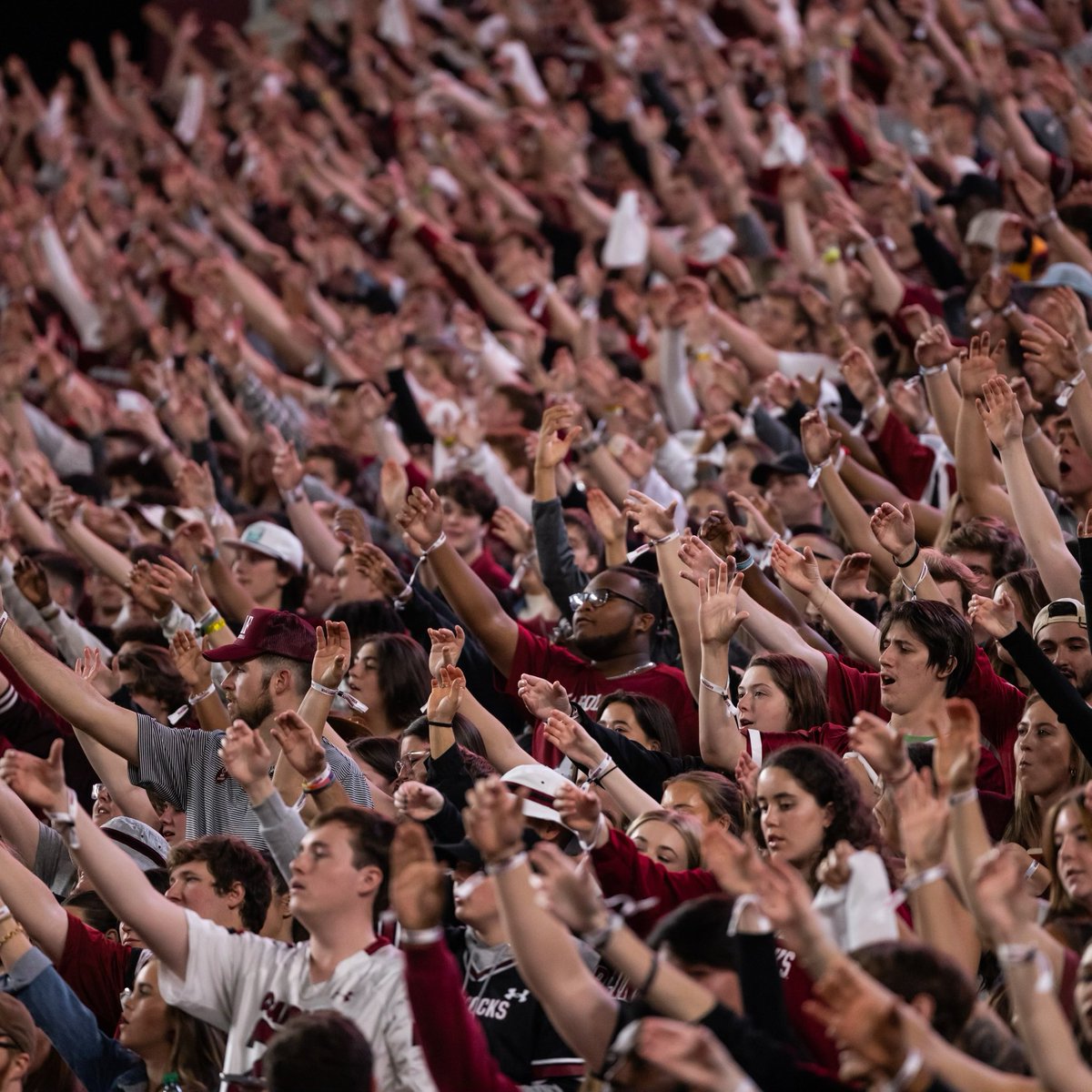 University of South Carolina tweet media